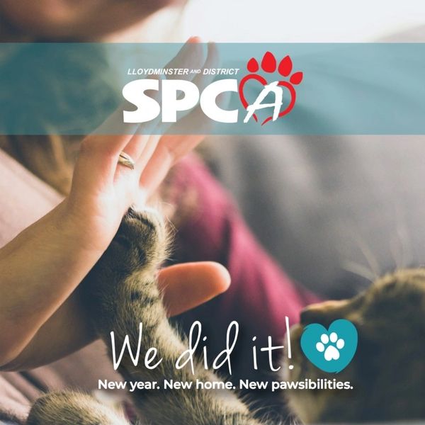 New Shelter Border Paws Animal Shelter